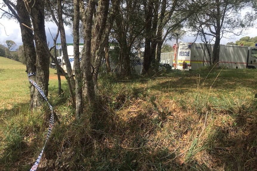 At least three vehicles are seen behind trees, with police tape blocking off space to the left of the image.