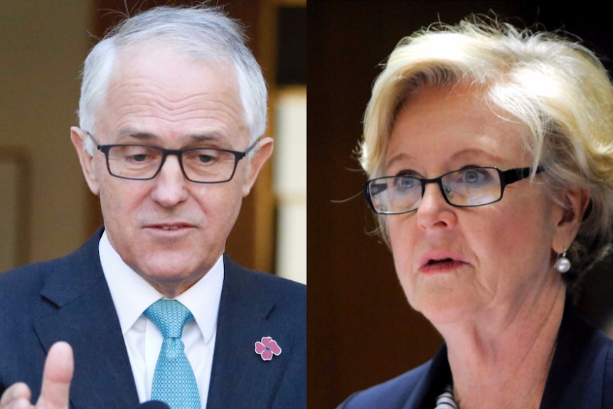 A composite of Prime Minister Malcolm Turnbull and Human Rights Commission president Gillian Triggs.