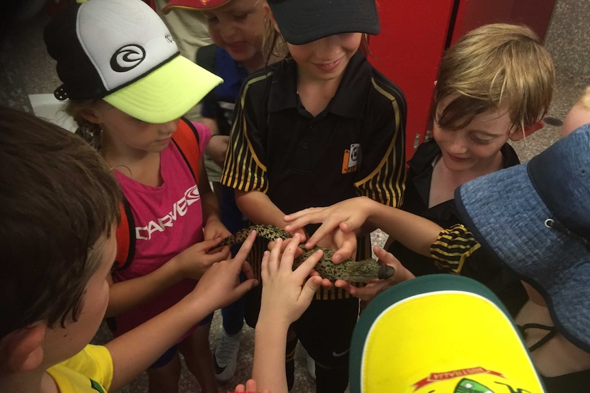 Darwin soccer juniors clustered around the small runaway crocodile they named "Cutie Pie".