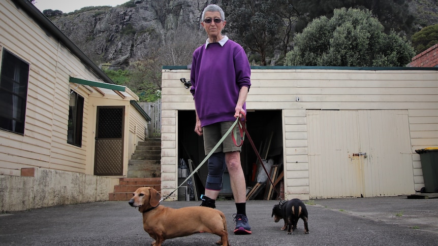 A woman outside with two dogs.