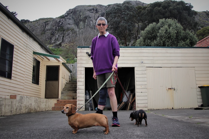 A woman outside with two dogs.