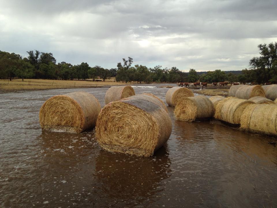 Bakers Hill 6562 Location ABC News