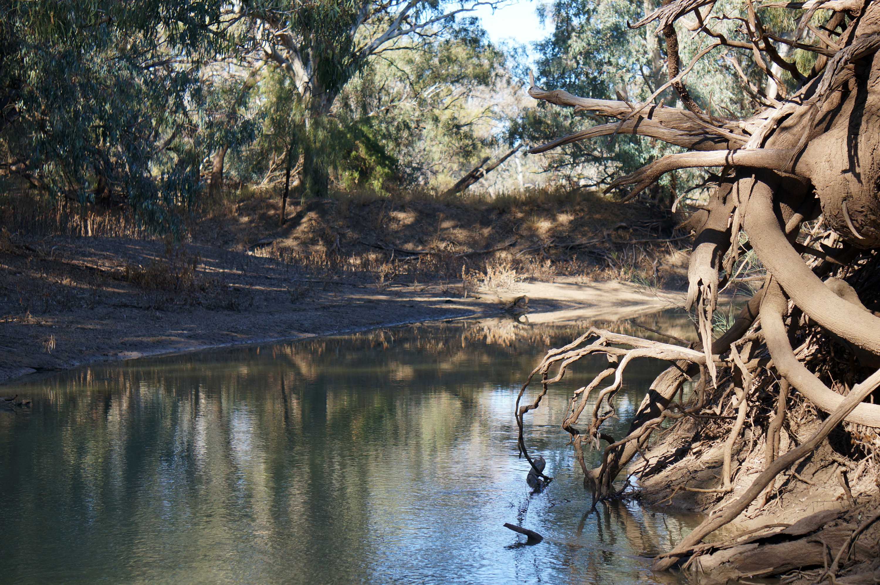 Moorabool River and Barwon River are losing too much water - ABC listen