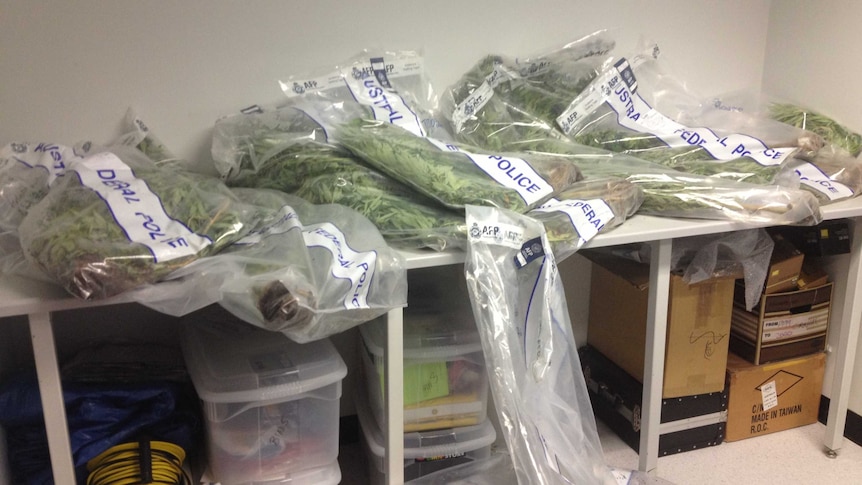 Police executed a search warrant on a home in Wanniassa seizing 16 cannabis plants, weapons and drug paraphernalia.