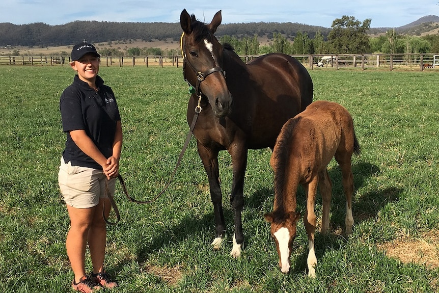 Makybe Diva in a green paddock with her current foal and her carer Sam Robinson from the Vinery Stud.