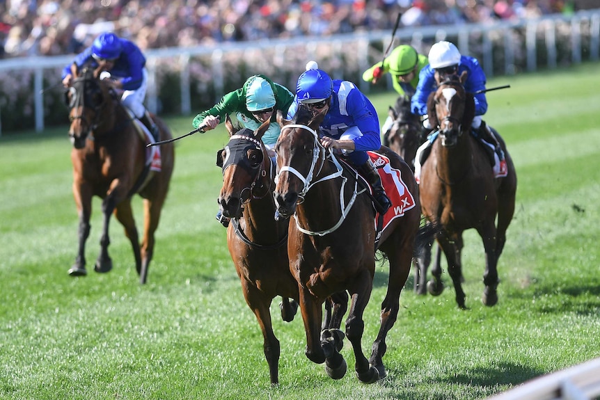 Winx charges down the final straight to win Cox Plate