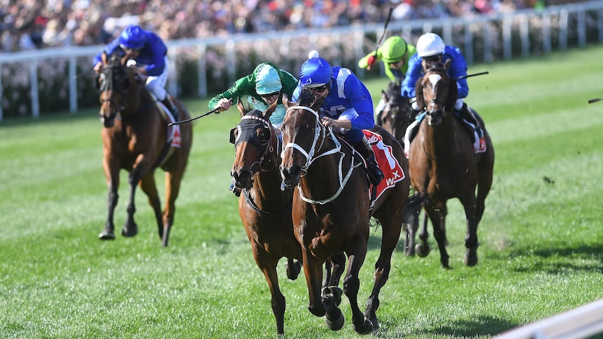 Winx charges down the final straight to win Cox Plate