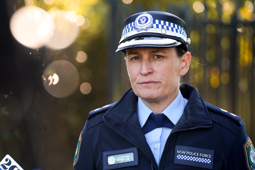 Detective Chief Superintendent Christine McDonald at a press conference