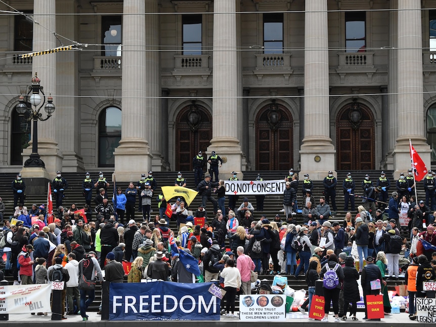 Dozens of protesters stand outside the Parliament of Victoria, as police stand on the steps.