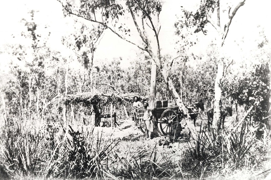 An 1869 photo of surveyors in the bush near Darwin.