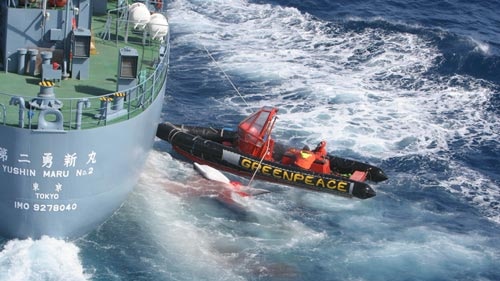 After a month of confrontations, Greenpeace is heading for Cape Town. (File photo)
