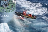 Japanese whaling harpoon tangled in Greenpeace boat.
