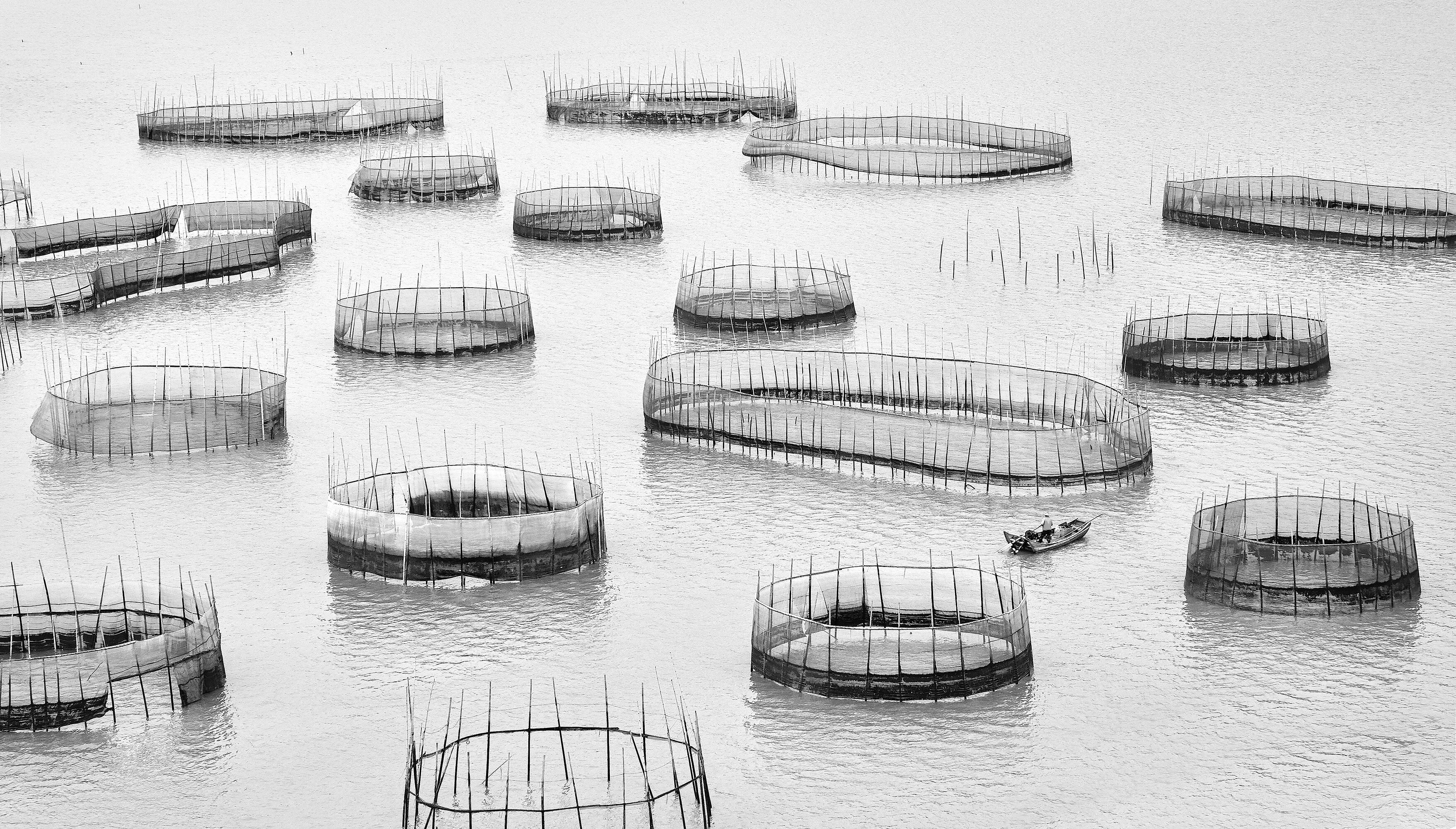 Black and white image of multiple fishing fences in the sea