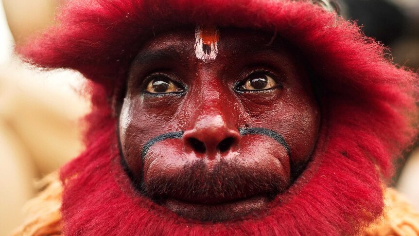 Indian Hindu devotee dressed as a monkey.