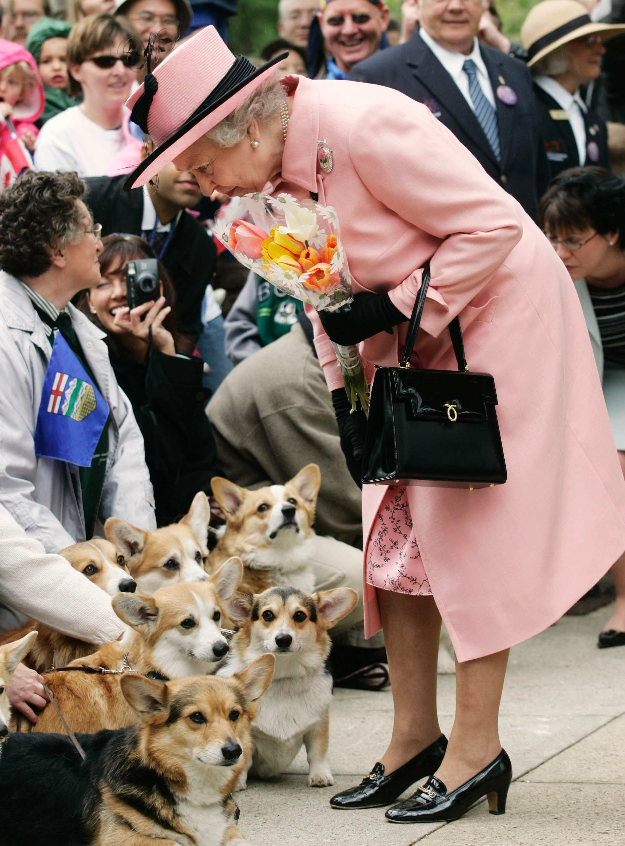 Did Queen Elizabeth Keep Pedigree Dogs