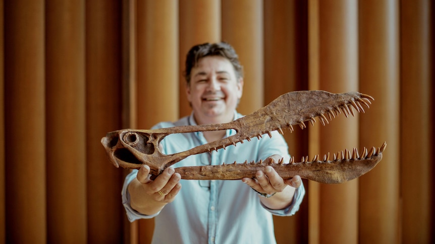 Man hold the skull bones of a prehistoric flying reptile.