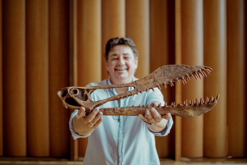 Man hold the skull bones of a prehistoric flying reptile.