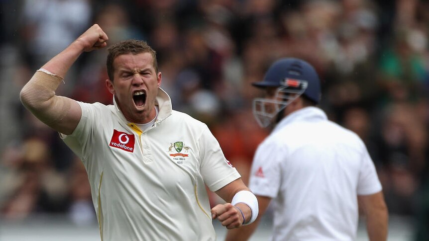 Creeping up ... Peter Siddle bowled his way to the brink of the world's top 10.