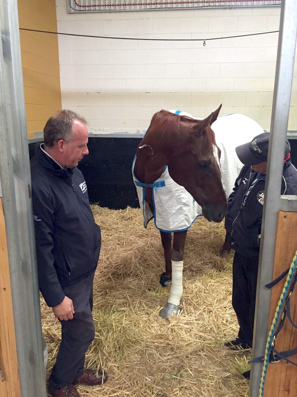 Red Cadeaux recovers after surgery