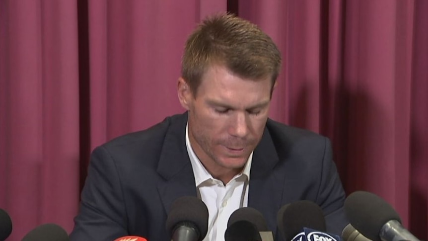David Warner apologises for ball-tampering incident