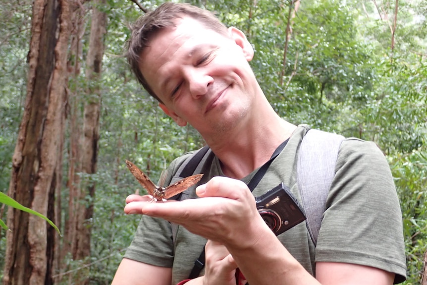A man holds a butterfly in a forest