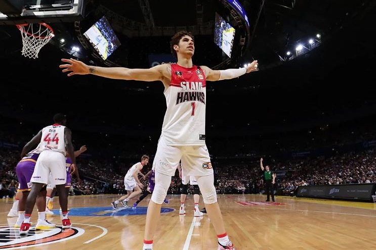 Hawks owner lamelo