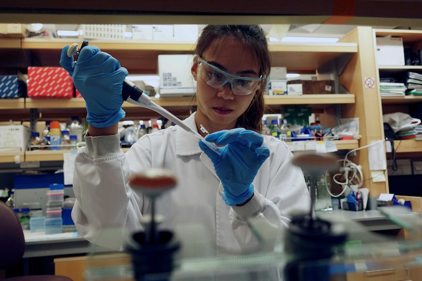 A scientist putting medication into a vial in a laboratory