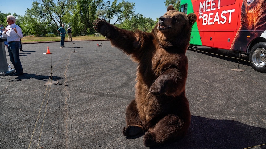  John Cox stands next to a brown bear to launch his election campaing.