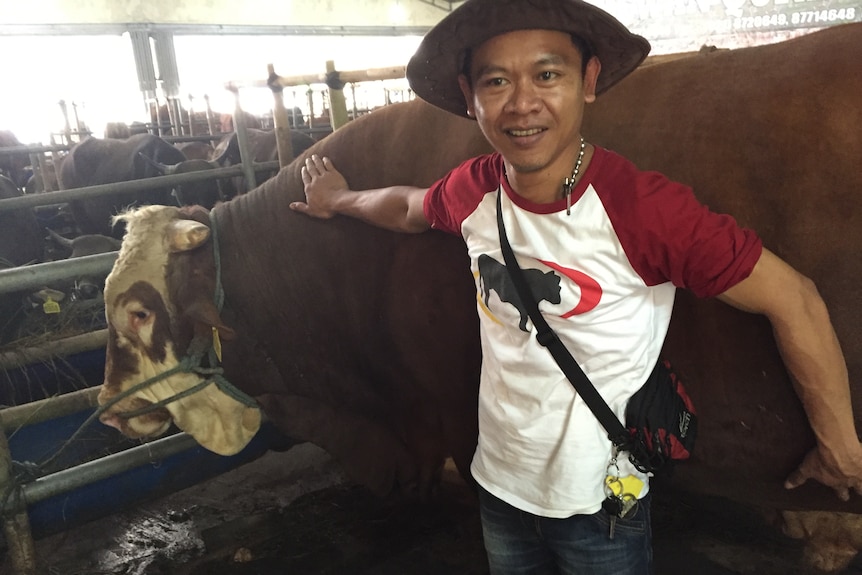 Livestock caretaker Karyadi and Paul the bull