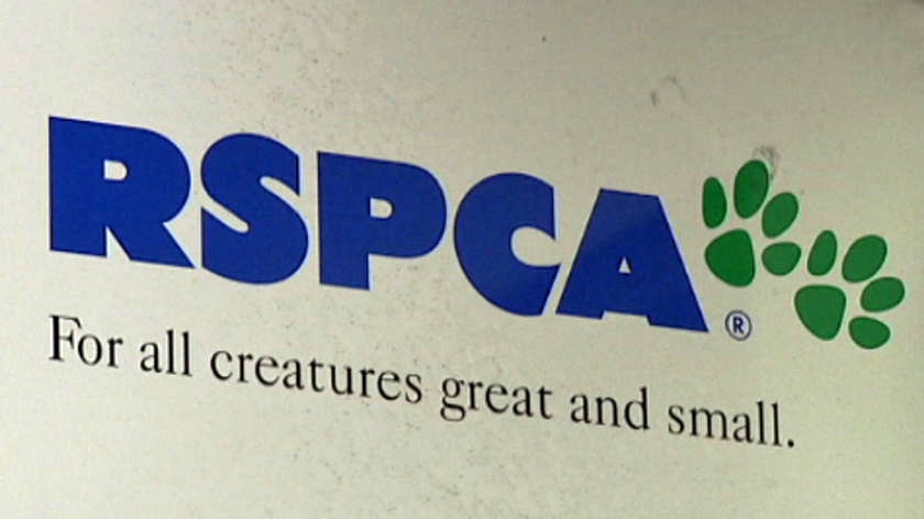 The RSPCA logo.