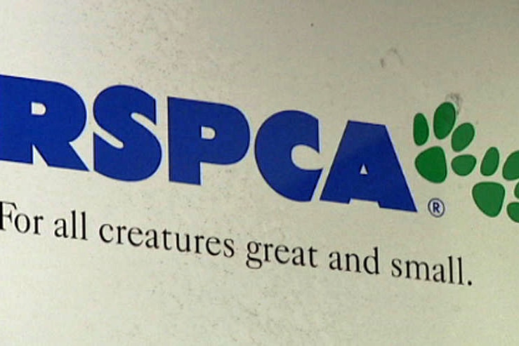 RSPCA logo