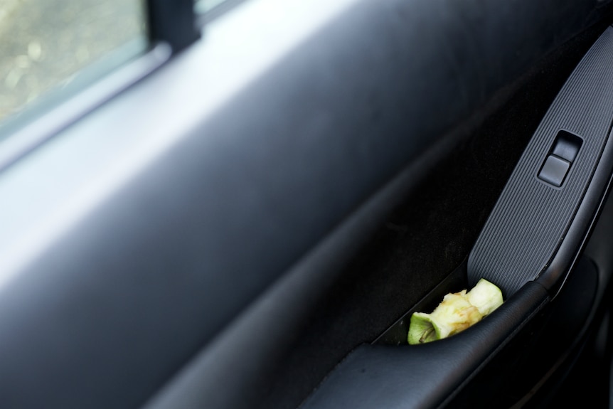Apple core left in car door.