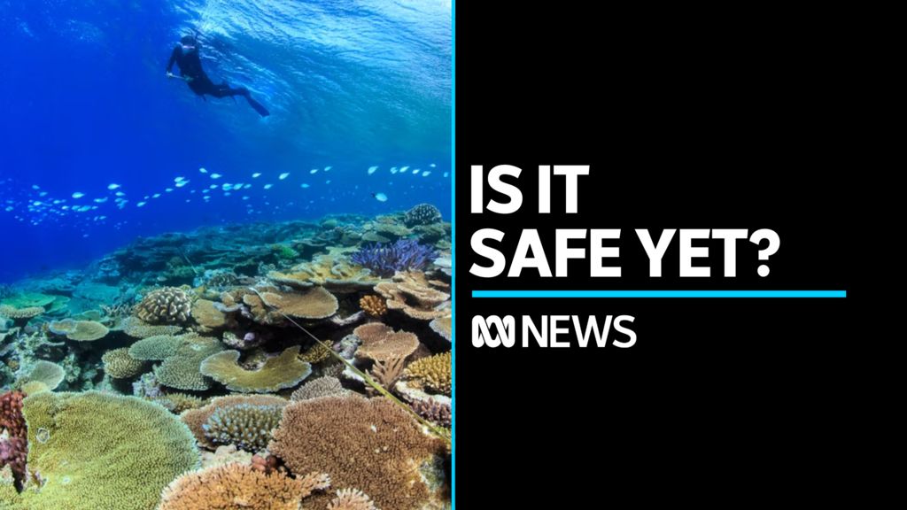 Is The Great Barrier Reef Safe After Its Exclusion From The UN's 'in ...