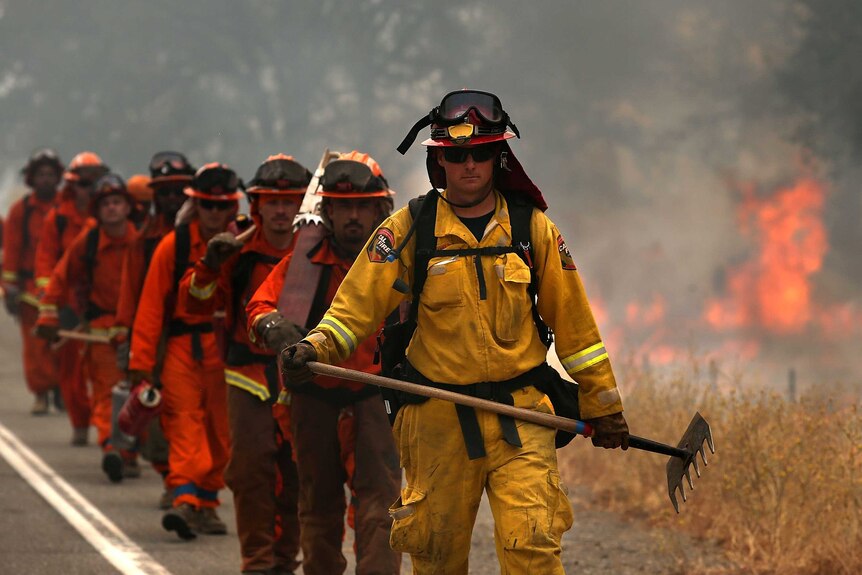 A Cal Fire firefighter leads a group of inmate firefighters during a burn operation to head off the Rocky Fire