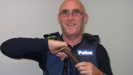 Victoria Police find snake in backpack