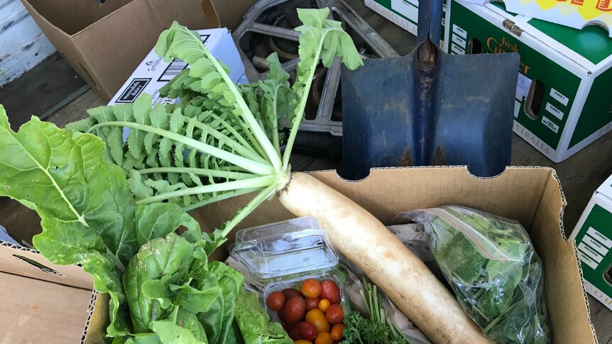 A box of Good Harvest Organics fruit and vegetables.