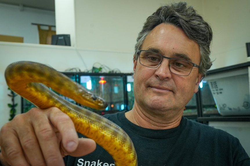 Photo of a man holding a snake.
