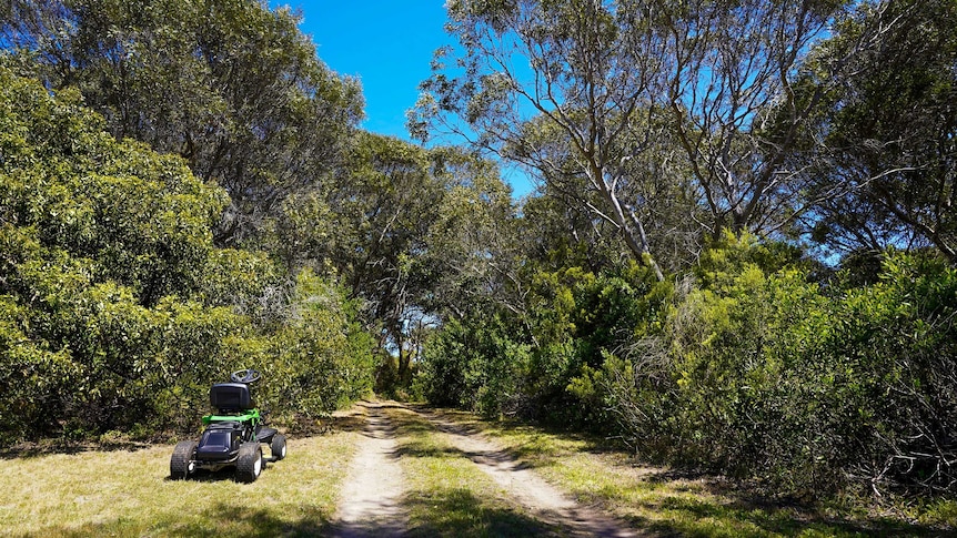 The driveway to the the Lynch-Rhodes' tiny home is hidden away by large trees and bushland.