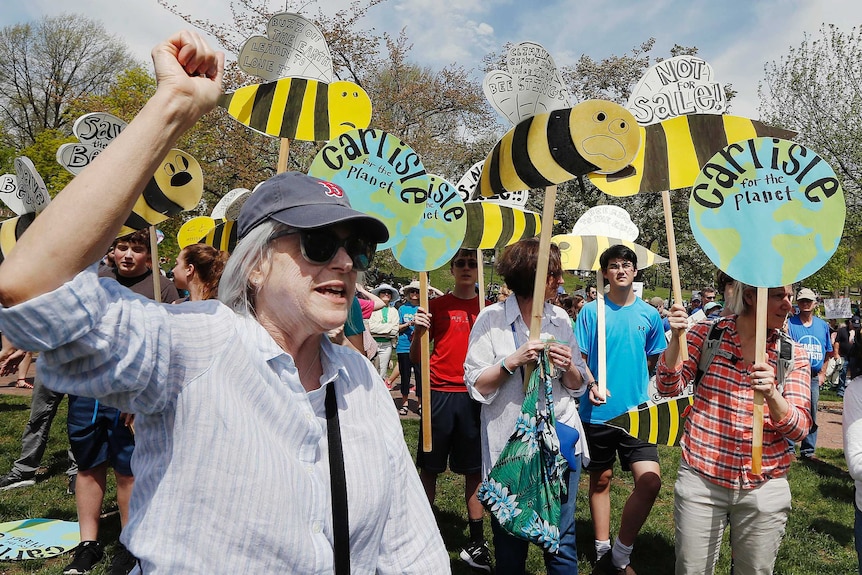 People gathered in droves on Boston Common in Boston holding bee signs