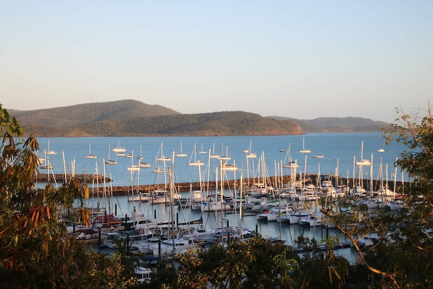 Boats moored at marina at Airlie Beach in north Queensland on a sunny morning.