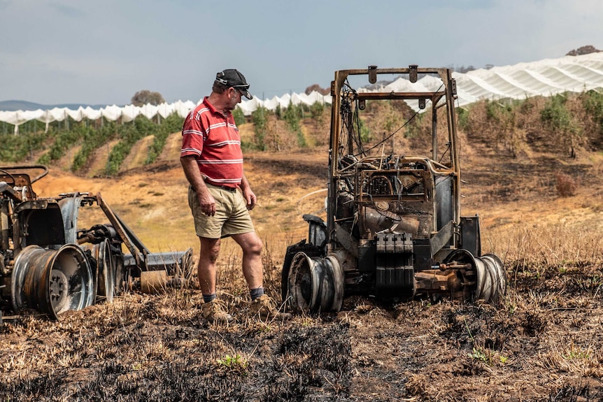 Greg Mouat wears a red t-shirt and shorts, looking at burn out machinery, apple orchards in background.