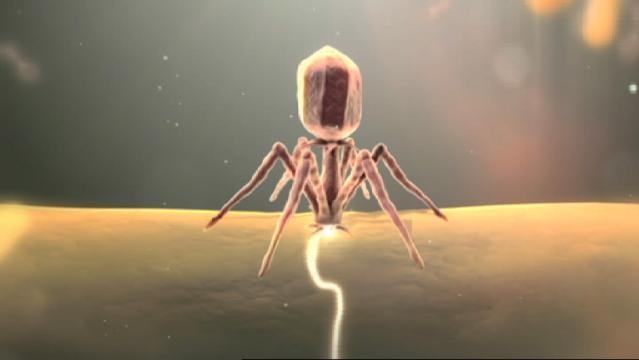 Graphic image of a spider-looking virus