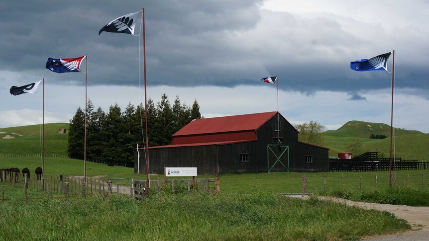 Flag options fly on the MacFarlane's farm