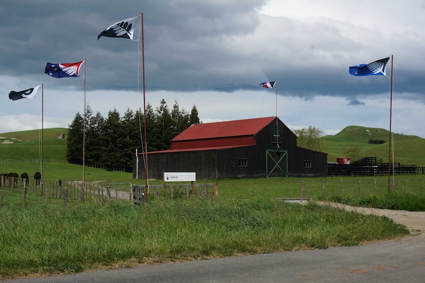 Flag options fly on the MacFarlane's farm