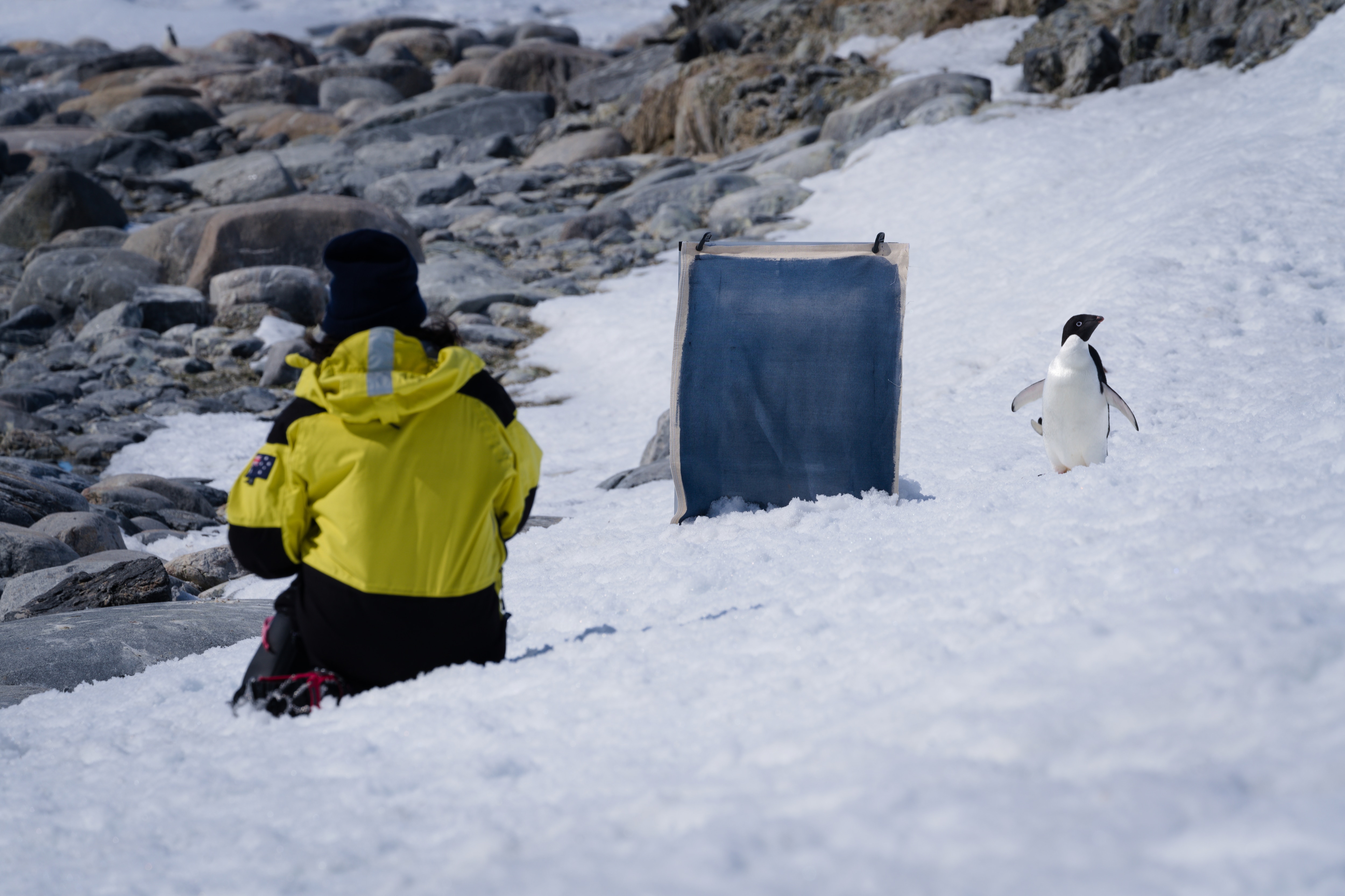 e57809bb208738176da353e9c3397ad6?impolicy=wcms_crop_resize&cropH=4680&cropW=7020&xPos=0&yPos=0&width=862&height=575