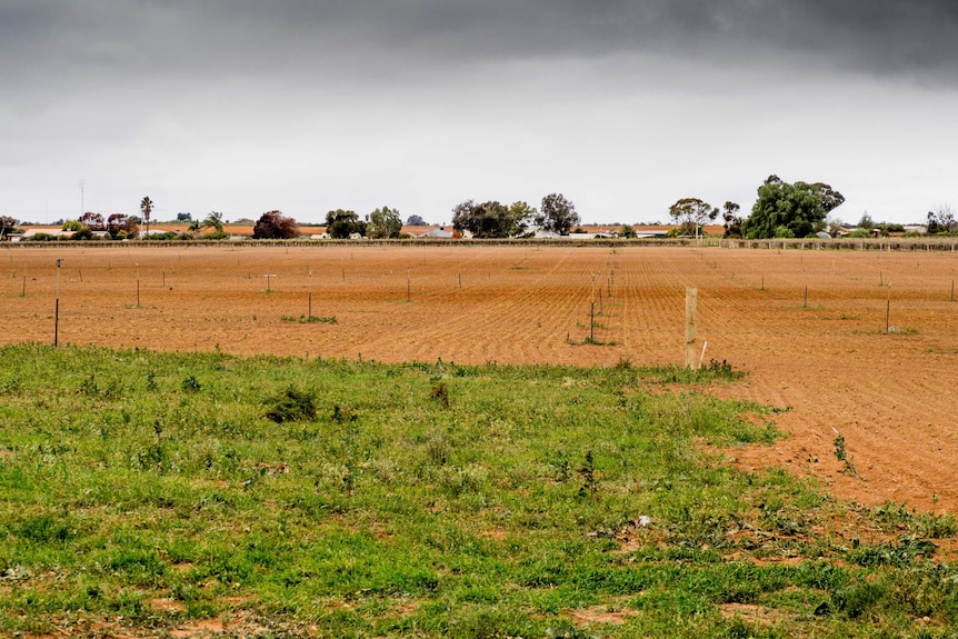 Vacant land next to a rural property with houses in the background.