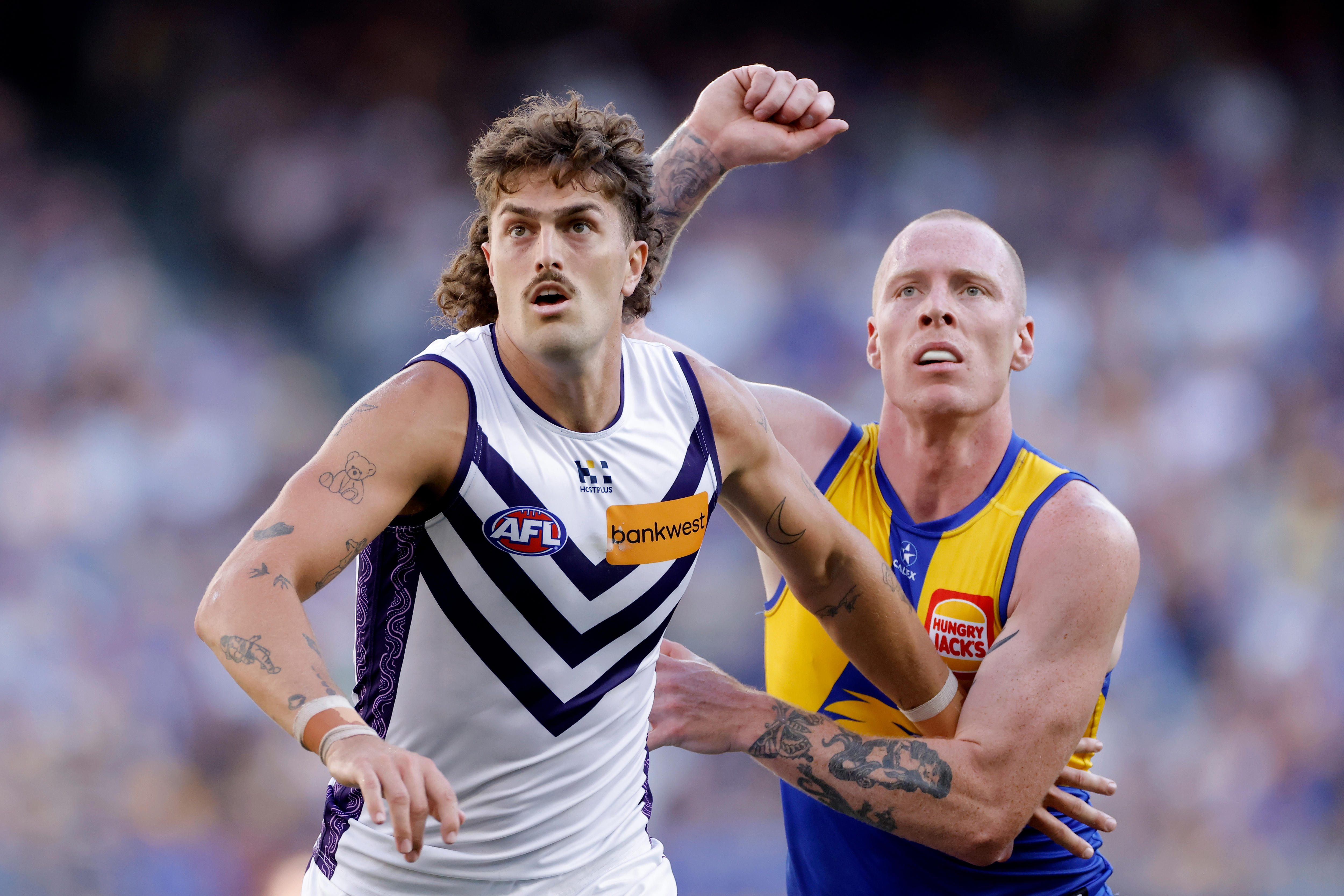 Dockers player Luke Jackson and his Eagles opponent Bailey Williams wait for the ball to arrive in a throw-in ruck contest.