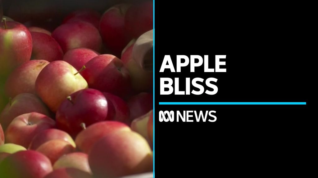 e5816a8e60c1c1c820038f646ead8914?impolicy\u003dwcms_crop_resize\u0026cropH\u003d576\u0026cropW\u003d1024\u0026xPos\u003d0\u0026yPos\u003d0\u0026width\u003d862\u0026height\u003d485