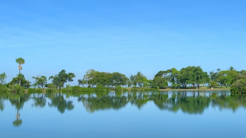 Trees reflected on a still lake on a clear day.