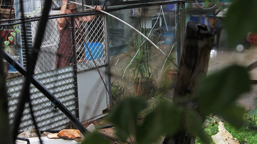 A photo of Nicola Collins feeding her pet crocodile.